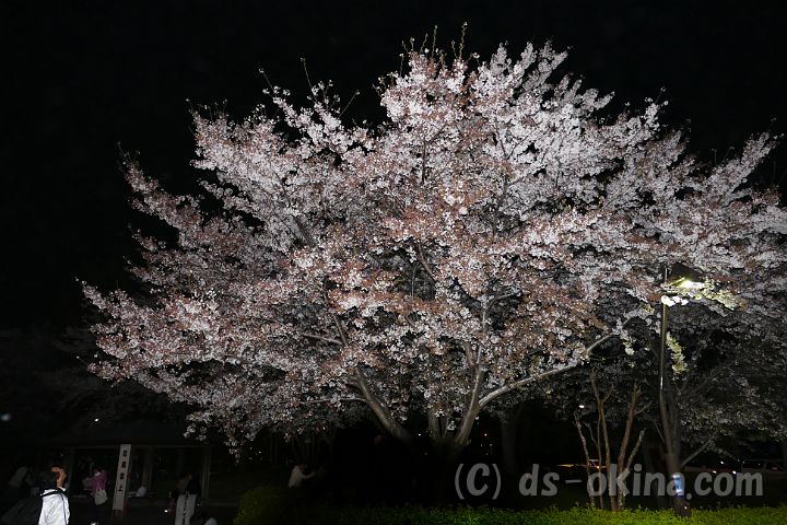 150404_194418_0.jpg