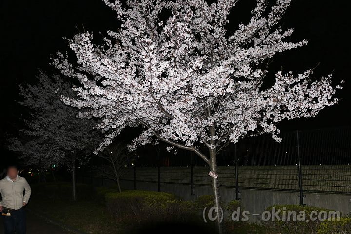 150404_194511_0.jpg