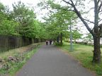 150503_171253_0