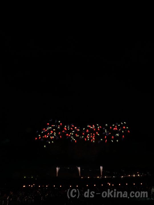 150810_205748_v.jpg