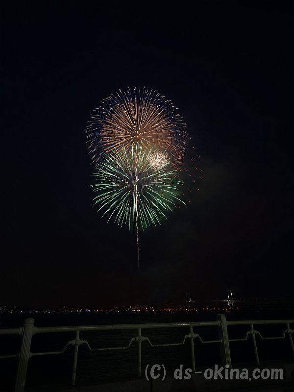 20160717_193406_0.jpg