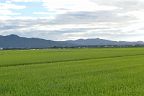 20160820_172828_0