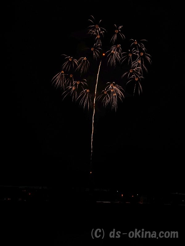20160917_193745_0.jpg