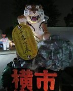 20161030_190416_0