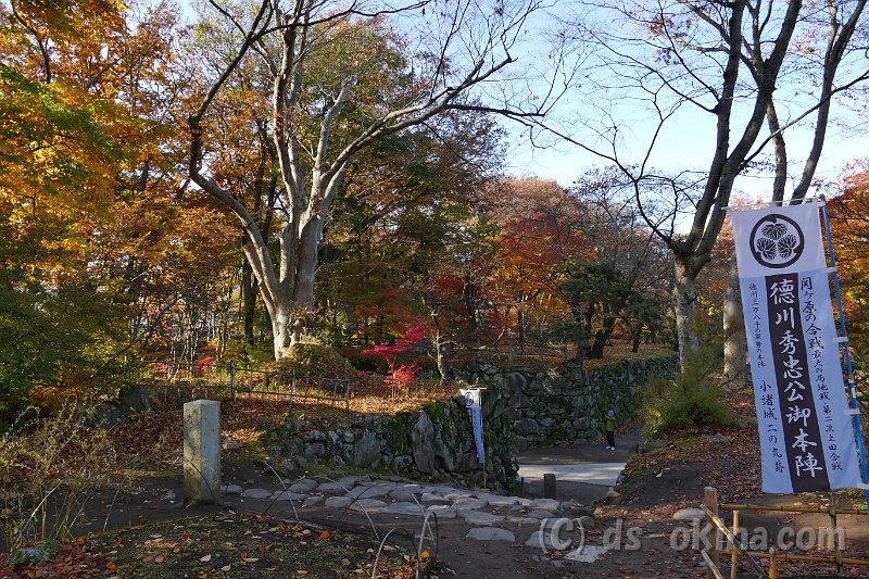 20161113_080035_0.jpg