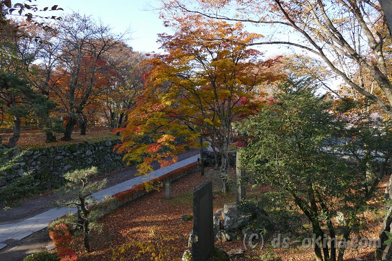 20161113_080119_0.jpg