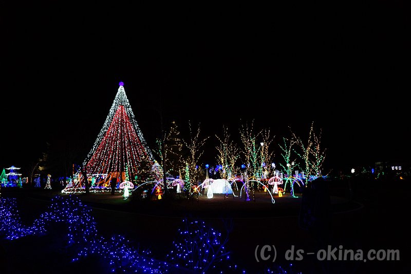 20161212_185433_0.jpg