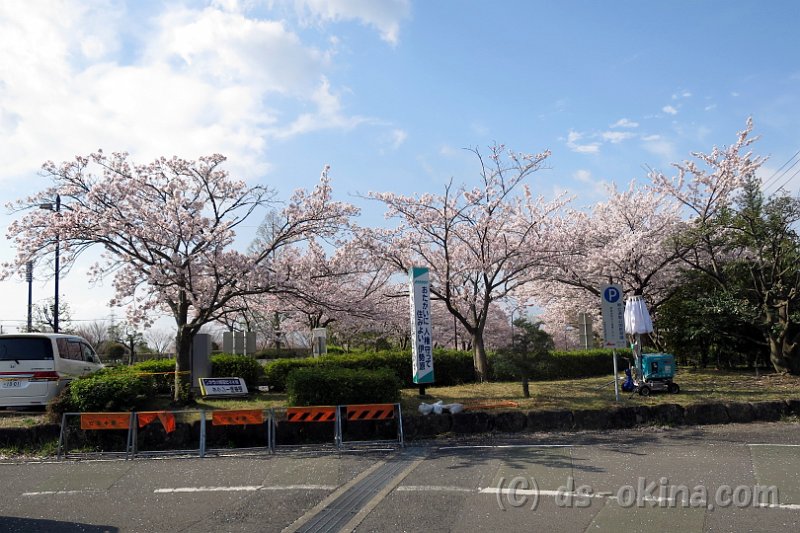 20170415_081116_0.jpg