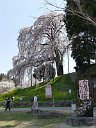 170425_132458_0