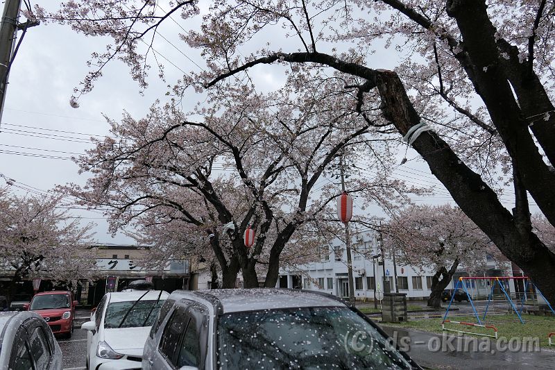 20170429_121330_0.jpg