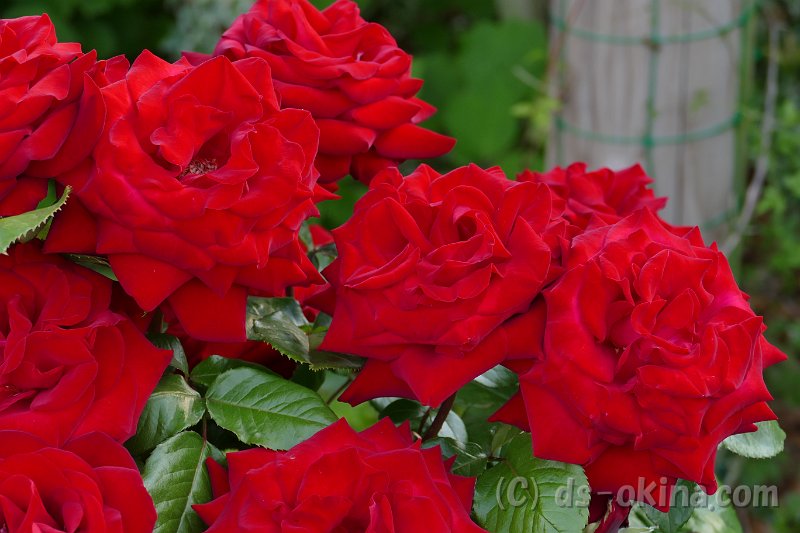 20170518_162525_0.jpg