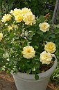 20170518_163245_0