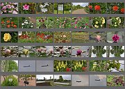 Album518006