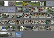 Album518007