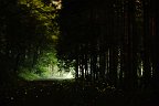 20170701_230051_c
