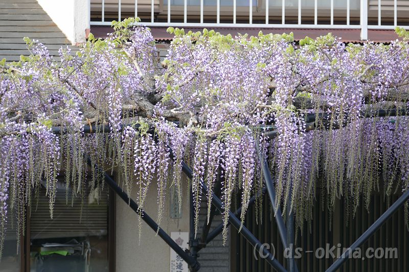 20180413_165353_0.jpg