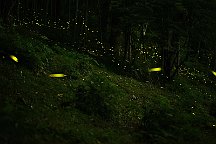 a7s85_061803