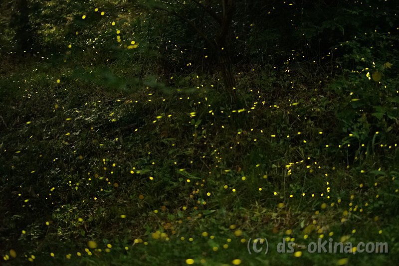 a7s85_06252222-2315.jpg