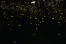 a650028_06282600-2630