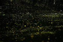a7s85_06292545-2608