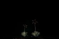20180803_203114_0