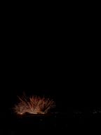 20180810_202642_0