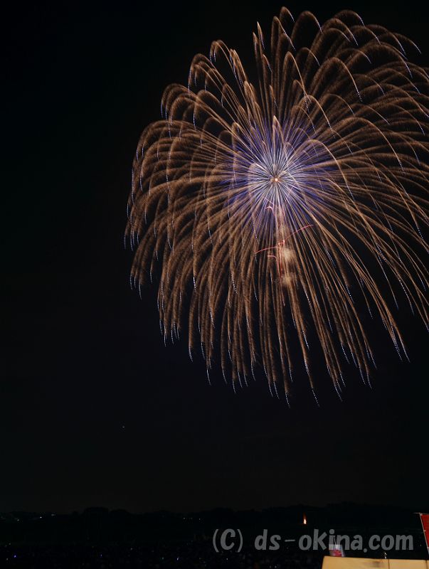 20180811_192955_0.jpg