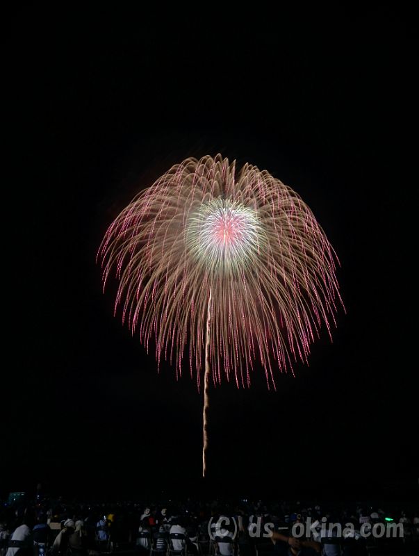 20180813_202631_0.jpg