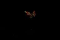 20180822_194539_0