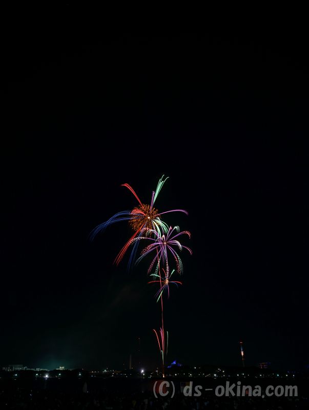 20180825_191841_0.jpg