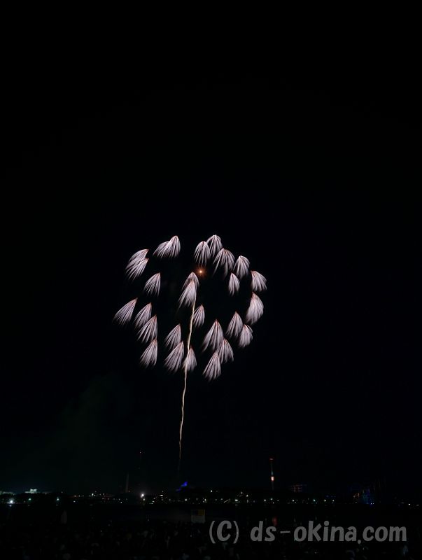 20180825_195005_0.jpg
