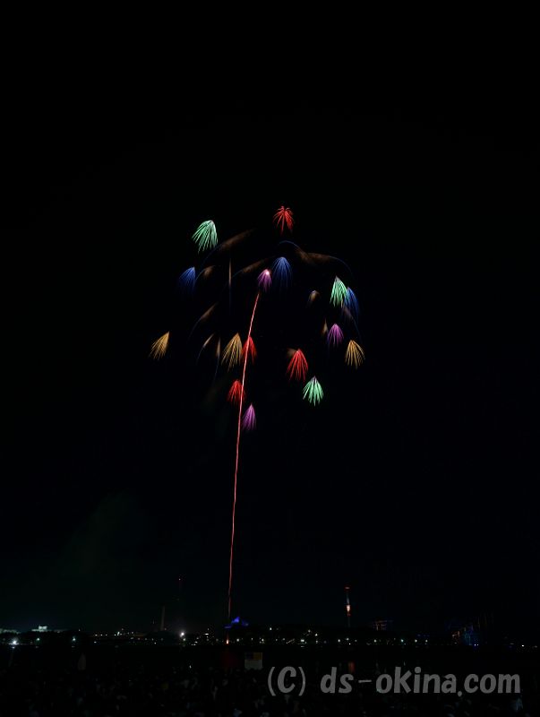 20180825_195018_0.jpg