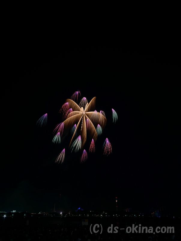 20180825_195107_0.jpg