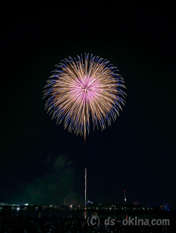 20180825_195358_0.jpg