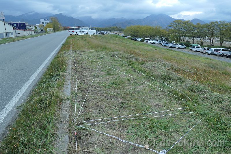 20181110_112225_0.jpg