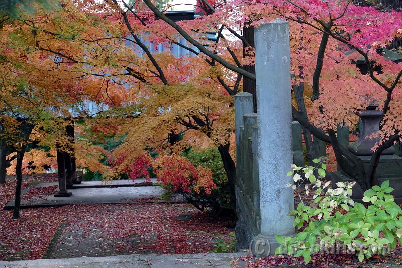 20181110_161300_0.jpg