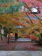 20181110_161257_0