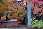 20181110_161300_0