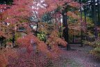 20181110_161843_0