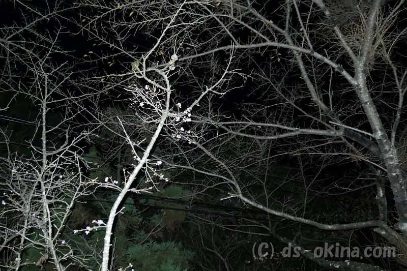 20181114_210553_0.jpg