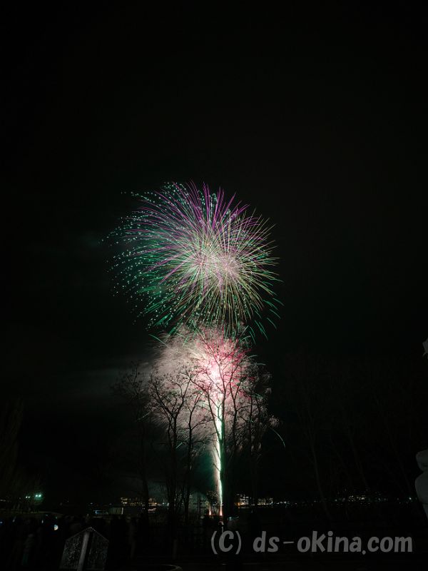 20190210_200156_0.jpg