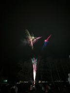20190210_201249_0