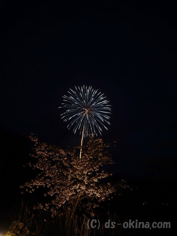 20190429_190724_0.jpg