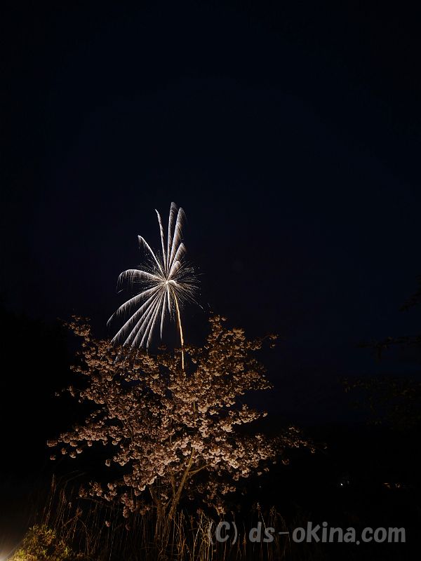 20190429_190825_0.jpg