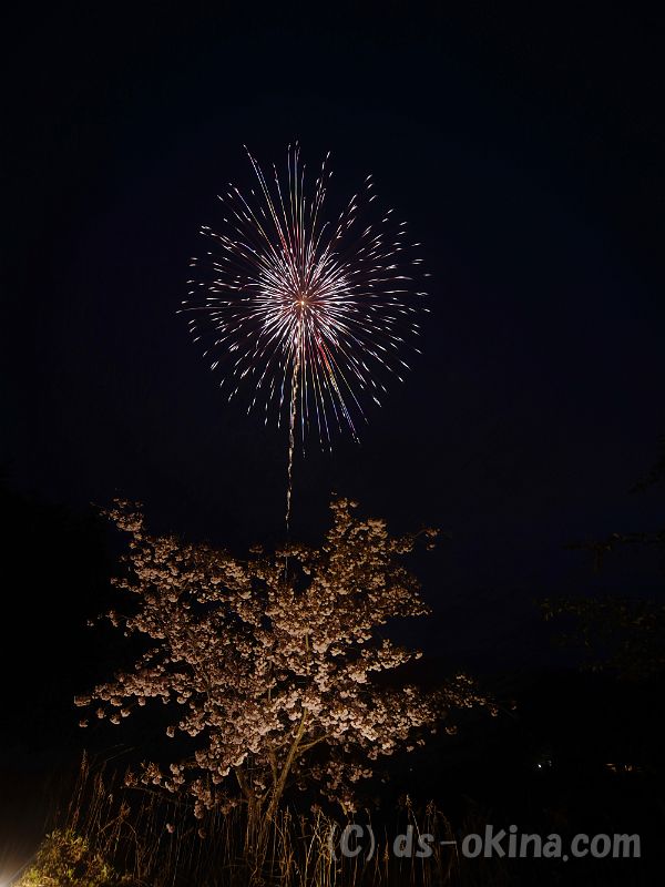 20190429_191000_0.jpg