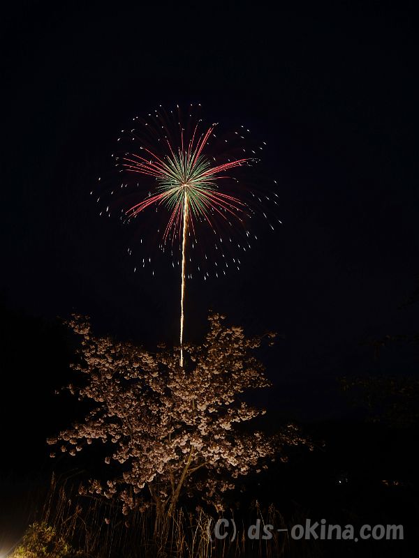 20190429_191018_0.jpg