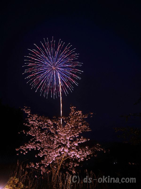 20190429_191038_0.jpg