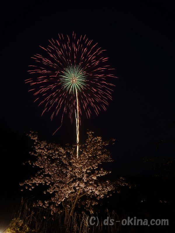 20190429_191054_0.jpg