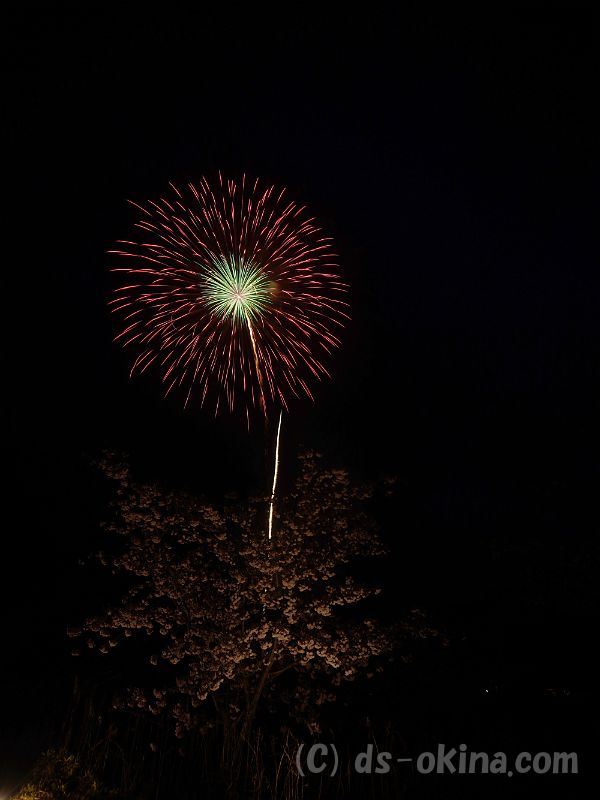 20190429_191058_0.jpg