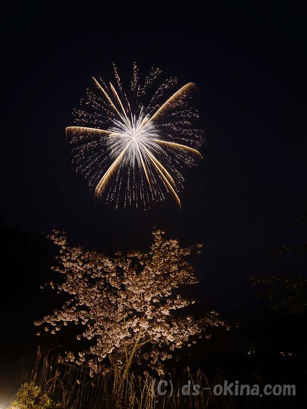 20190429_191203_0.jpg